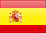 ESP Flag