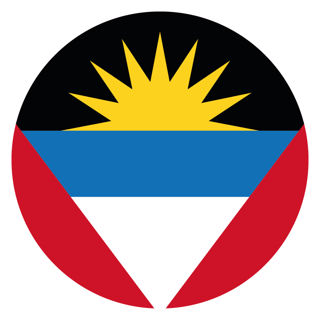 ANT flag