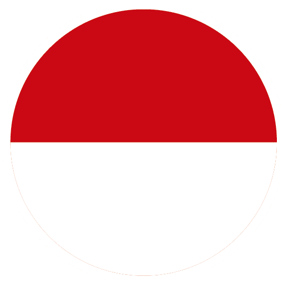 INA flag