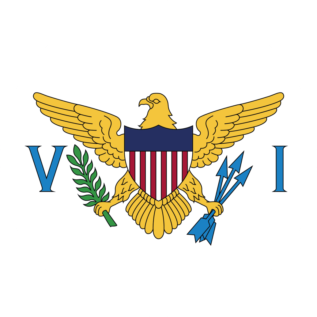 ISV flag