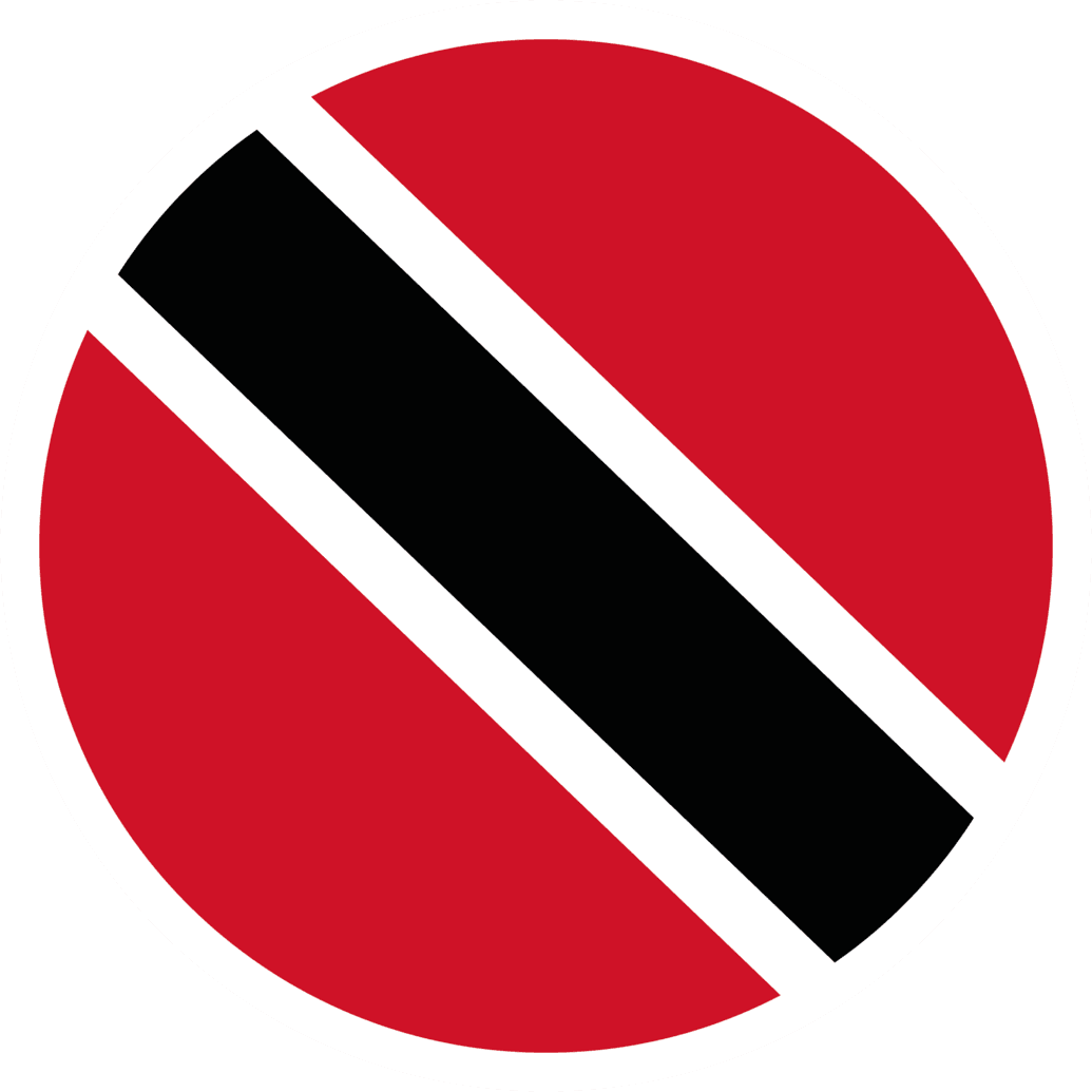 TTO flag